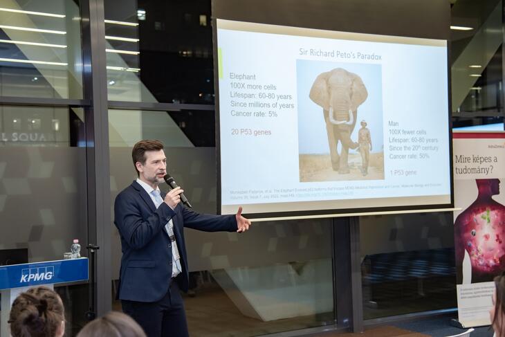 Egészséggazdaság és Longevity 2026