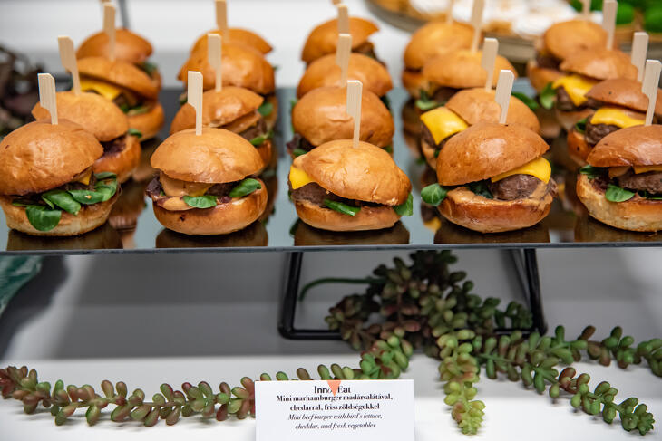 Klasszis Talks & Wine Fenntarthatóság 2025