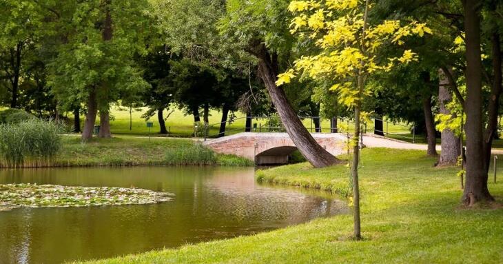 Károlyi Kastély Hotel & Restaurant
