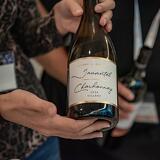 Klasszis Talks&Wine - 2025 szeptember 17.