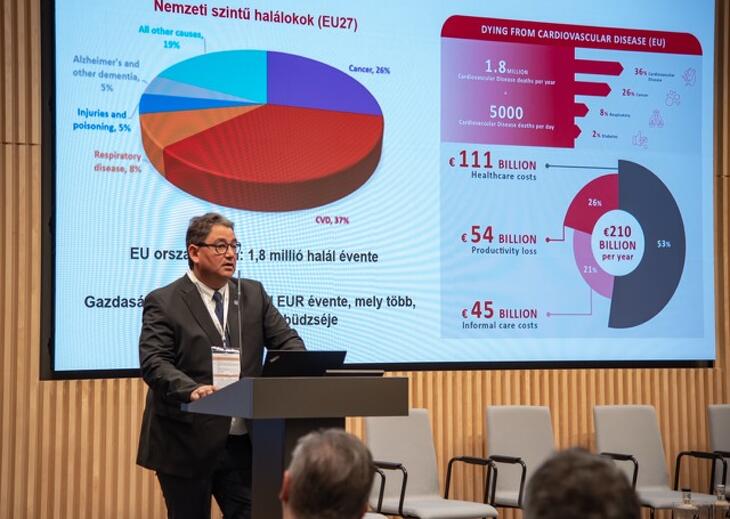 Menedzser egészség - 2025