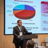 Menedzser egészség - 2025