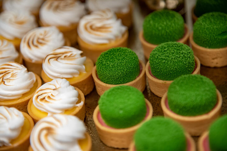 Klasszis Talks & Wine Fenntarthatóság 2025