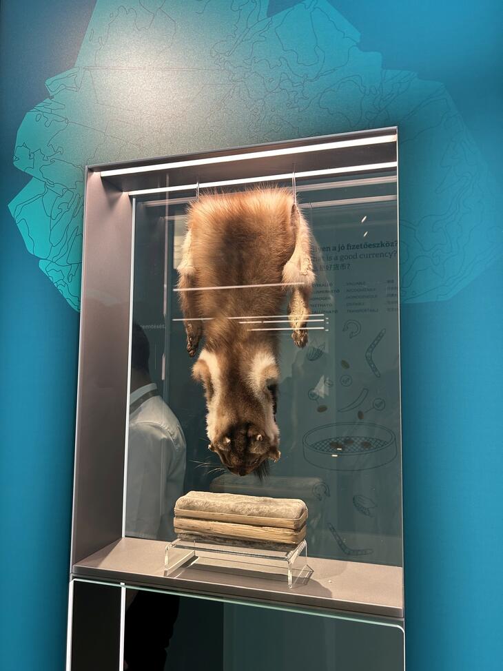 Fotók a szakmai programról - első három helyezett