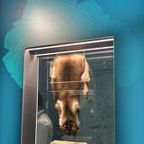 Fotók a szakmai programról - első három helyezett