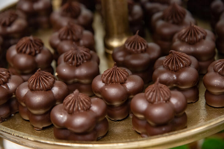 Klasszis Talks & Wine Fenntarthatóság 2025