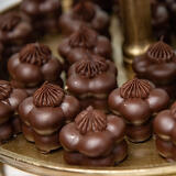 Klasszis Talks & Wine Fenntarthatóság 2025