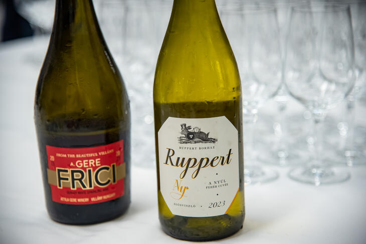 Klasszis Kiberbiztonság Klub - NIS2