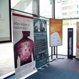 Egészséggazdaság és Longevity 2026